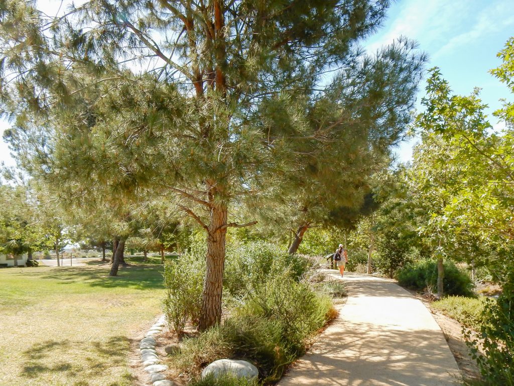 Image of Encanto Park Nature Walk trail