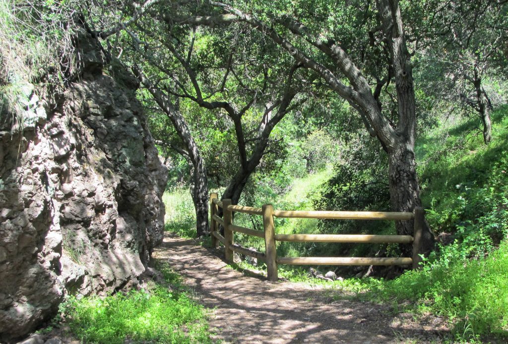 Image of the horse path at Horsethief Canyon.