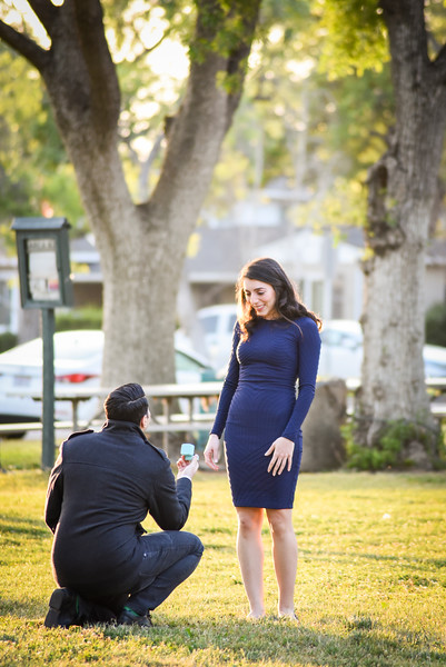 man proposing to woman on one knee